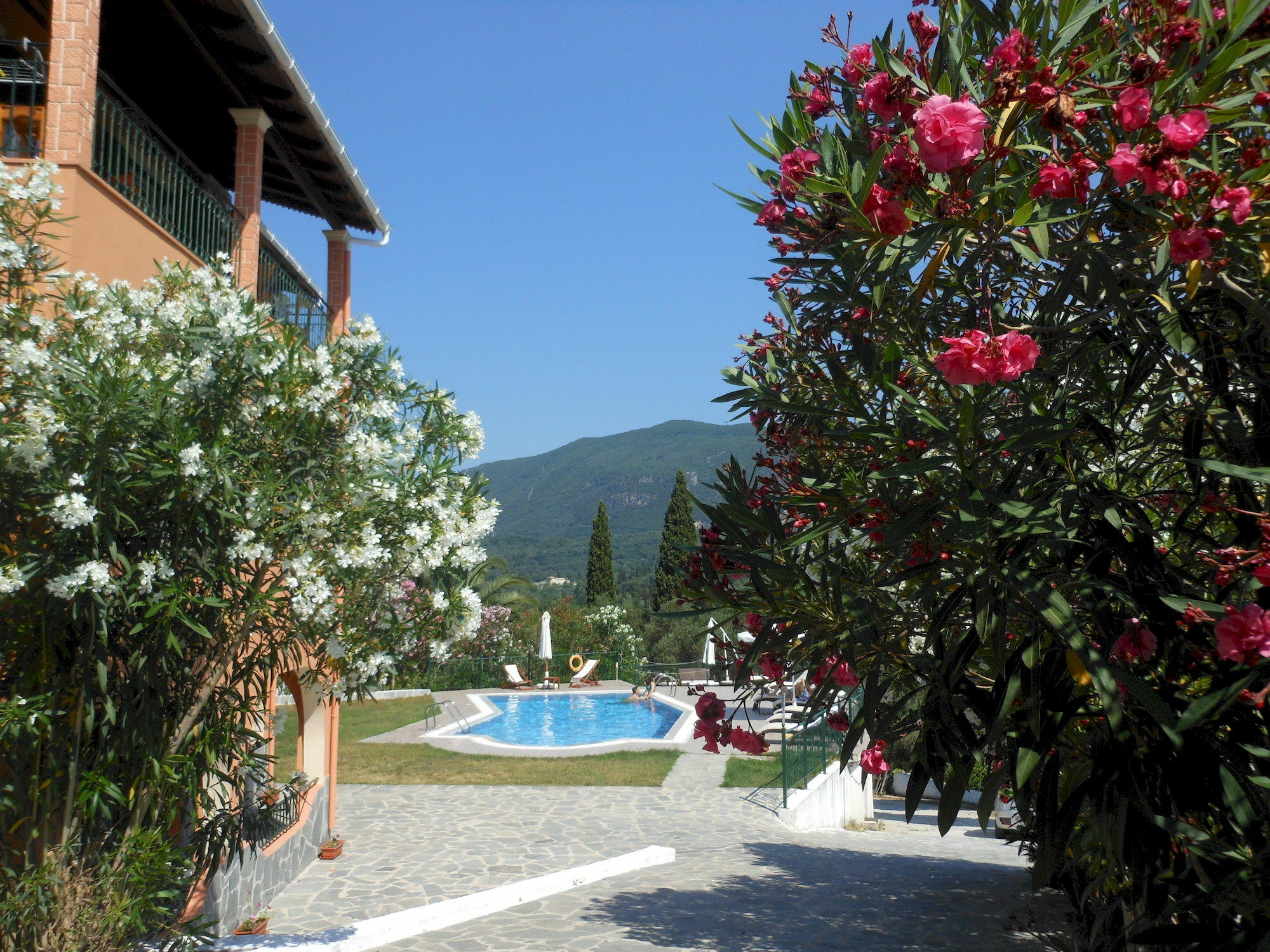 Ziogas Luxury Apartments Dassia  Esterno foto