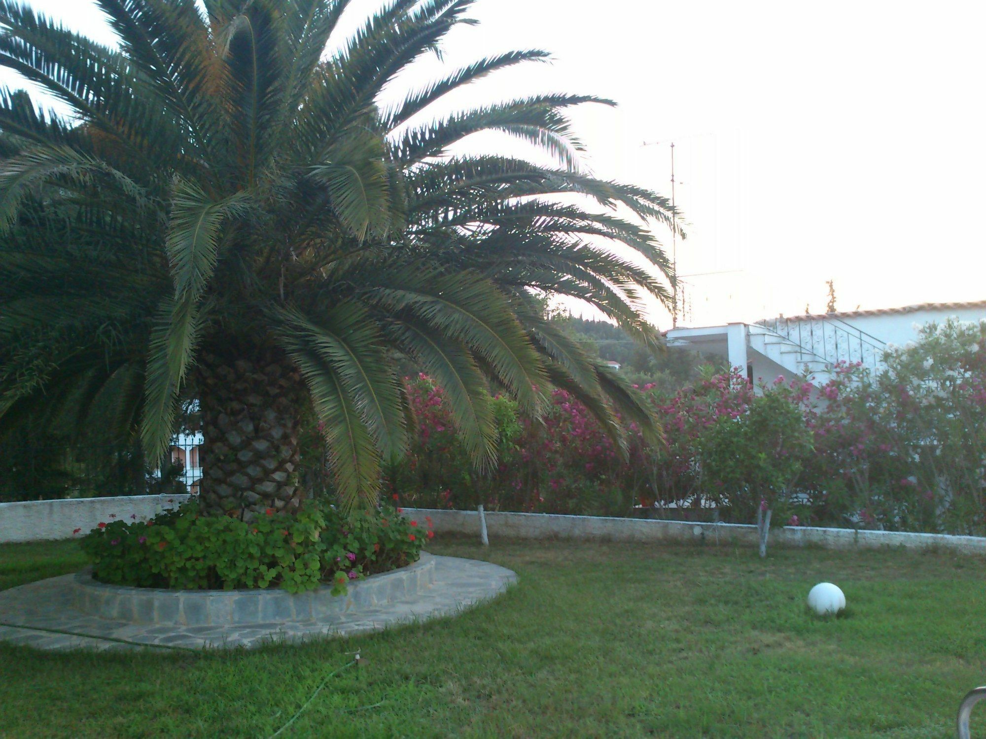 Ziogas Luxury Apartments Dassia  Esterno foto